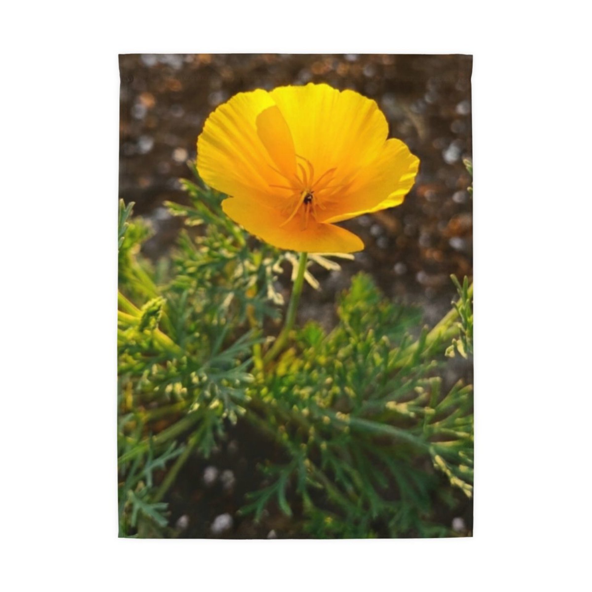Original Photograph of Yellow California Poppy Outdoor Flag | Rod Pocket