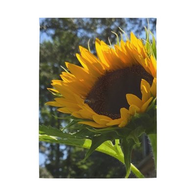 Original Photography Sunflower w/ Bee | Garden Floral Yard Decor